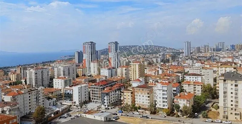  GÜLMÜŞ: 