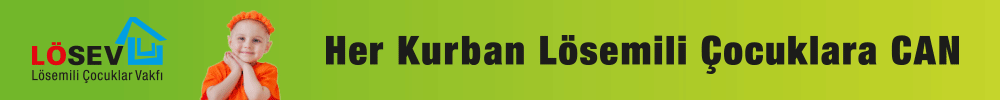 https://www.losev.org.tr/filesfordownload/2025/ramazan/index.html