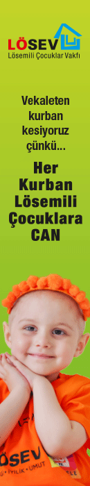 https://www.losev.org.tr/filesfordownload/2025/ramazan/index.html