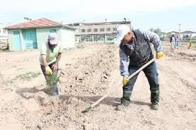 KARTAL’DA NİTELİKLİ TÜRLERLE YENİDEN AĞAÇLANDIRMA YAPILACAK